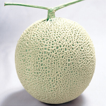 image Greenhouse melon