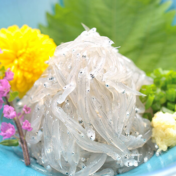 image Whitebait from Enshunada