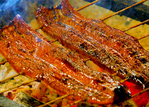 image Eels from Lake Hamana