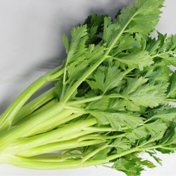 image Celery