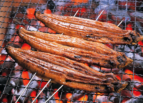 image Eels from Lake Hamana