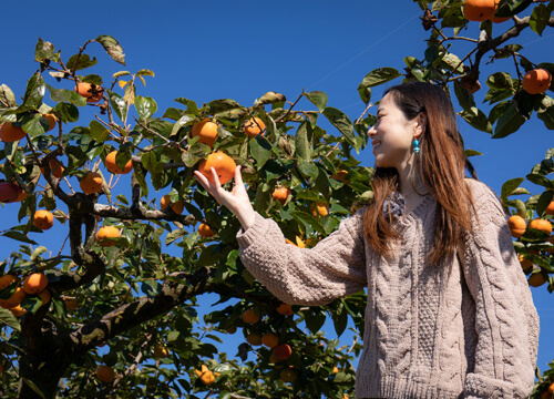 image Fruit picking