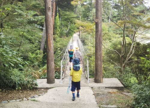 こどもが吊り橋を渡っている様子の画像