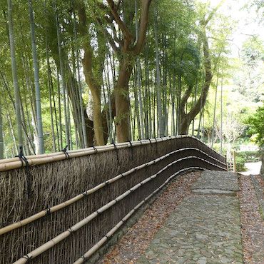 竹林に囲まれた浜松城公園内の日本庭園の様子の画像