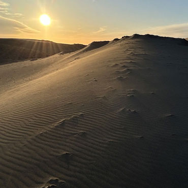 中田島砂丘の風紋が夕日に照らされている画像