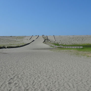 晴れた日の中田島砂丘の画像