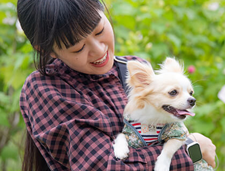 女性がチワワを腕に抱えている様子のサムネイル画像